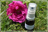 Synergie  5 en vaporisateur