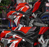 MDX CBR250RR デルタボックスカバー