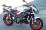 FRESCO RSV TUONO 02-05 OVAL