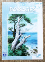 Livre Collection Léonardo volume 16 - Paysages
