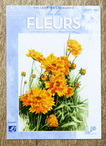 Livre Collection Léonardo volume 22 - Fleurs