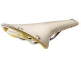 Brooks Cambium Organic