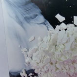 Wit Encaustisch pigment