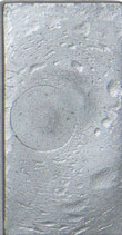 Zilver  81