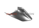 MAXI CARBON STREETFIGHTER V2 25- TAIL
