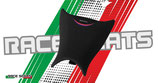 RACE SEATS S1000RR 09-11 COMPETITION LINE