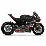 PANIGALE V4 2025 BODY SKIN INTACT-GP