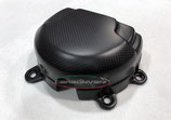 PANIGALE V4 18-19 GENERATOR CASE COVER