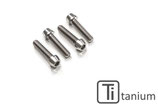 CNC RACING TITANIUM SCREW PASSENGER FOOTPEG M8 x 35