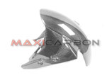 MAXI CARBON S1000RR 09-18 FRONT FENDER + DUCT