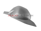 MAXI CARBON STREETFIGHTER V4 20-23 SWINGARM COVER