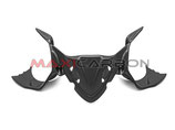 MAXI CARBON PANIGALE 959 1299 INSTRUMENT COVER