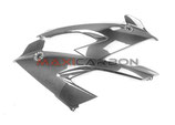 MAXI CARBON S1000RR 19-22 SIDE PANEL