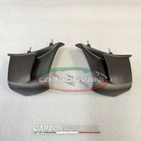 PANIGALE V4 2025 WINGLET
