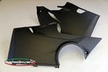 PANIGALE V4 20-21 BELLY PAN