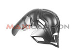MAXI CARBON STREETFIGHTER V4 25- HEAT SHIELD