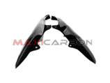 MAXI CARBON HYPERMOTARD 796 1100 TAIL PANEL