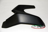 MONSTER 1200 SWINGARM COVER