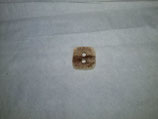 Holzknopf / wood button