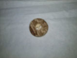 Holzknopf / wood button