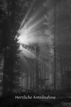 Nebel   -  PC149066-TSW