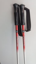 Ski Poles