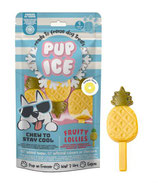 Pup Ice - Frucht Lollie