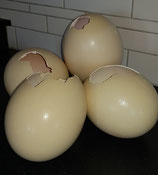 Driekwart eierdop. Op natuurlijke wijze geopende eieren. Het product wordt assorti geleverd