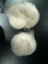laine de mouton blanc naturel à feutrer ou à carder