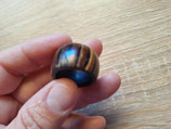 anillo madera