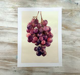 Original Racimo de Uvas