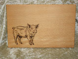 Schweinchen