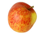 Äpfel aus Nachbar's Garten in Keitum