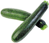 Zucchinis aus Tinnum