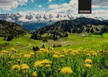 Toggenburg