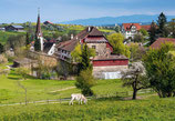 schloss hagenwil