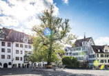 gallusplatz · st.gallen