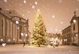 christbaum · st.gallen