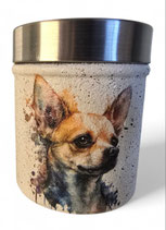 Dose mit Pinscher