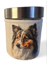 Dose mit Sheltie