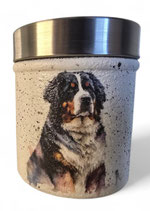 Dose mit Sennen Hund