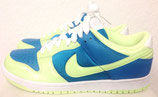 Nike Dunk Low Sneaker Limited