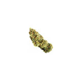 DR GREENTHUMB'S EM-DOG  - HUMBOLDT SEEDS - FEMMINIZZATA