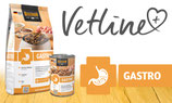 Gastro