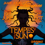 Paradise at Amnesia | Wed 11 September
