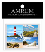 Magnet "Amrum" Metall