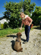 Harnais multipoints pour chien sur mesure et personnalisable