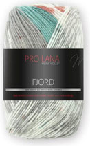 Pro Lana FJORD Farbe 95