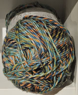 Schachenmayr Regia color 8fädig Farbe 8996