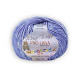 PRO LANA Woodstock Farbe 51